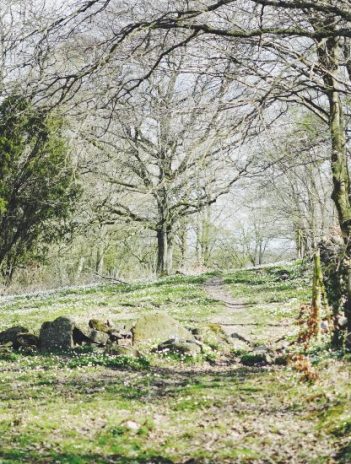 Skåneleden 13A Skrylleslingan